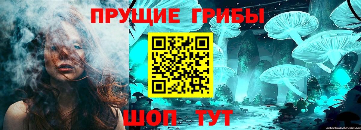 Псилоцибиновые грибы Psilocybine cubensis Березники